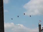 Brickyard 2003 13 - Blackhawk Flyover