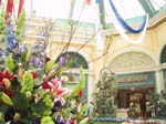 Vegas Grand Canyon 038 - Bellagio Gardens