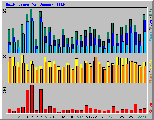 Daily usage for January 2010