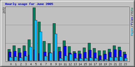 Hourly usage for June 2005