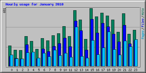 Hourly usage for January 2010